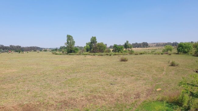 Looking To Buy Land Start Here With Land Boss